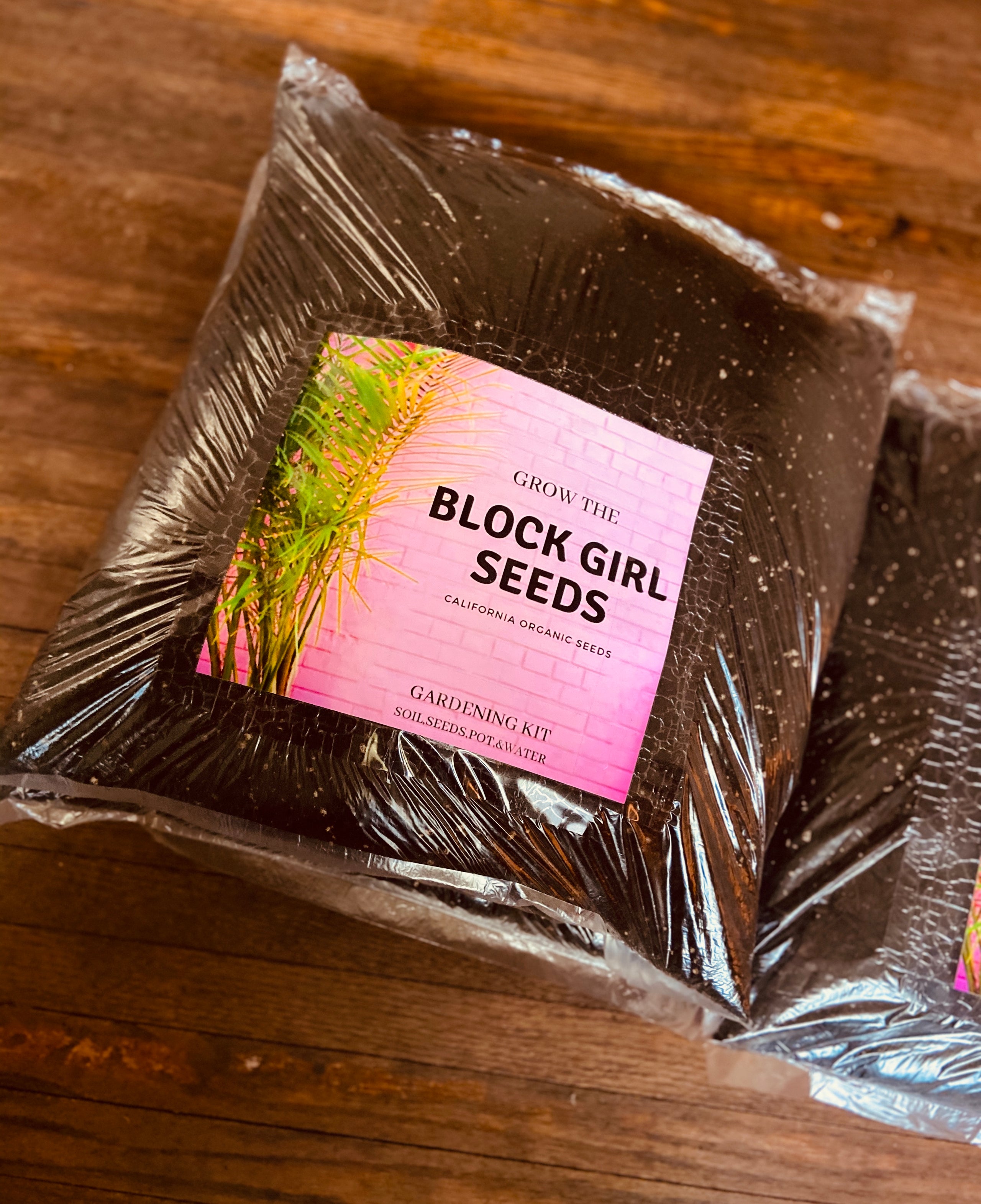 Large bag of soil