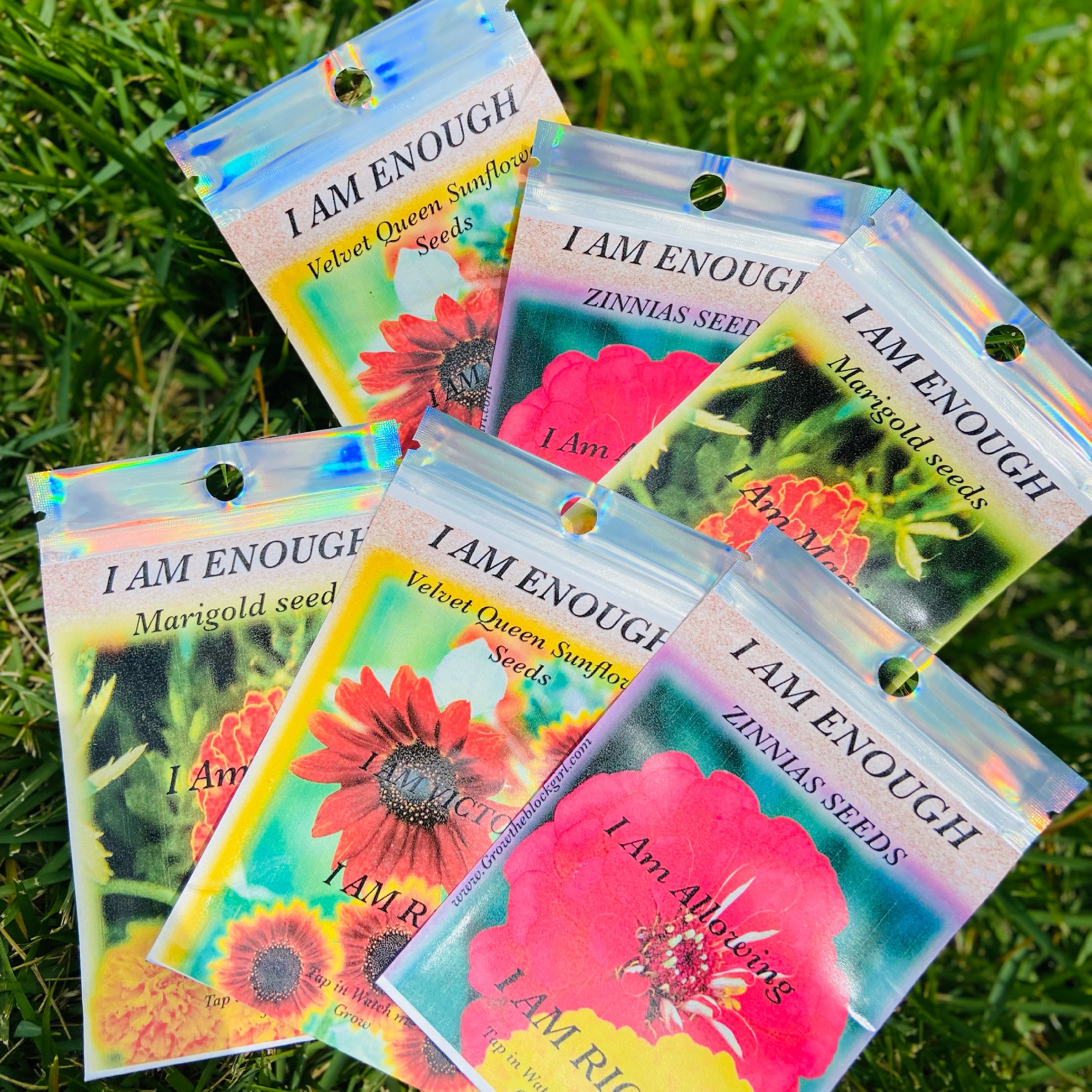 Zinnias seeds